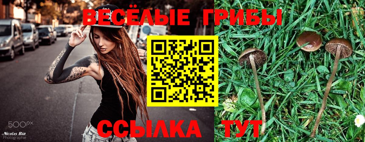Ишимбай  Псилоцибиновые грибы мухоморы  Вход с VPN 